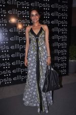 Madhoo Shah at Ellipsis launch hosted by Arjun Khanna in Mumbai on 6th July 2012 (92).JPG